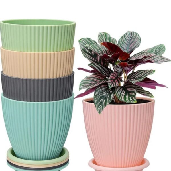 5 Flower Pot Tray Set